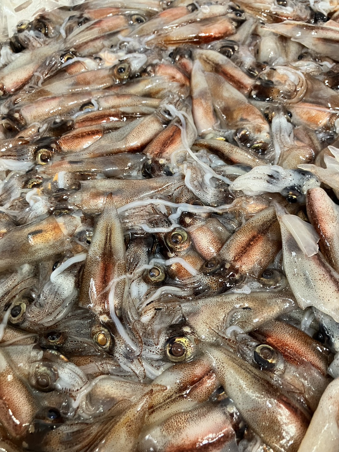 フォロワーシップこそ、組織に一番必要な役割